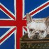 Frenchie,Union Jack,Louis Vuitton,French Bull dog painting,Judy Henn,dog art ,original dog painting
