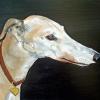 Greyhound,Judy Henn,custom dog portrait,commission,Lambertville NJ,contemporary art,gifts