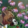 Boxer,custom dog portrait,pet portraits,Lambertville,NJ,Judy Henn,Robins Egg Gallery,contemporary art,dog art today,gifts