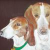 Foxhound,fox,hound,hunt,painting,Lambertville,NJ,artist,Judy Henn,contemporary,art,dog,portraits,Dog art today,custom,commission,original,gifts,totes,mugs,