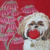 Shih Tzu_painting_red ball_Judy Henn_whimsical dog portrait_Lambertville Gallery
